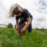 Garden of Hope: Harvesting Helps Healing